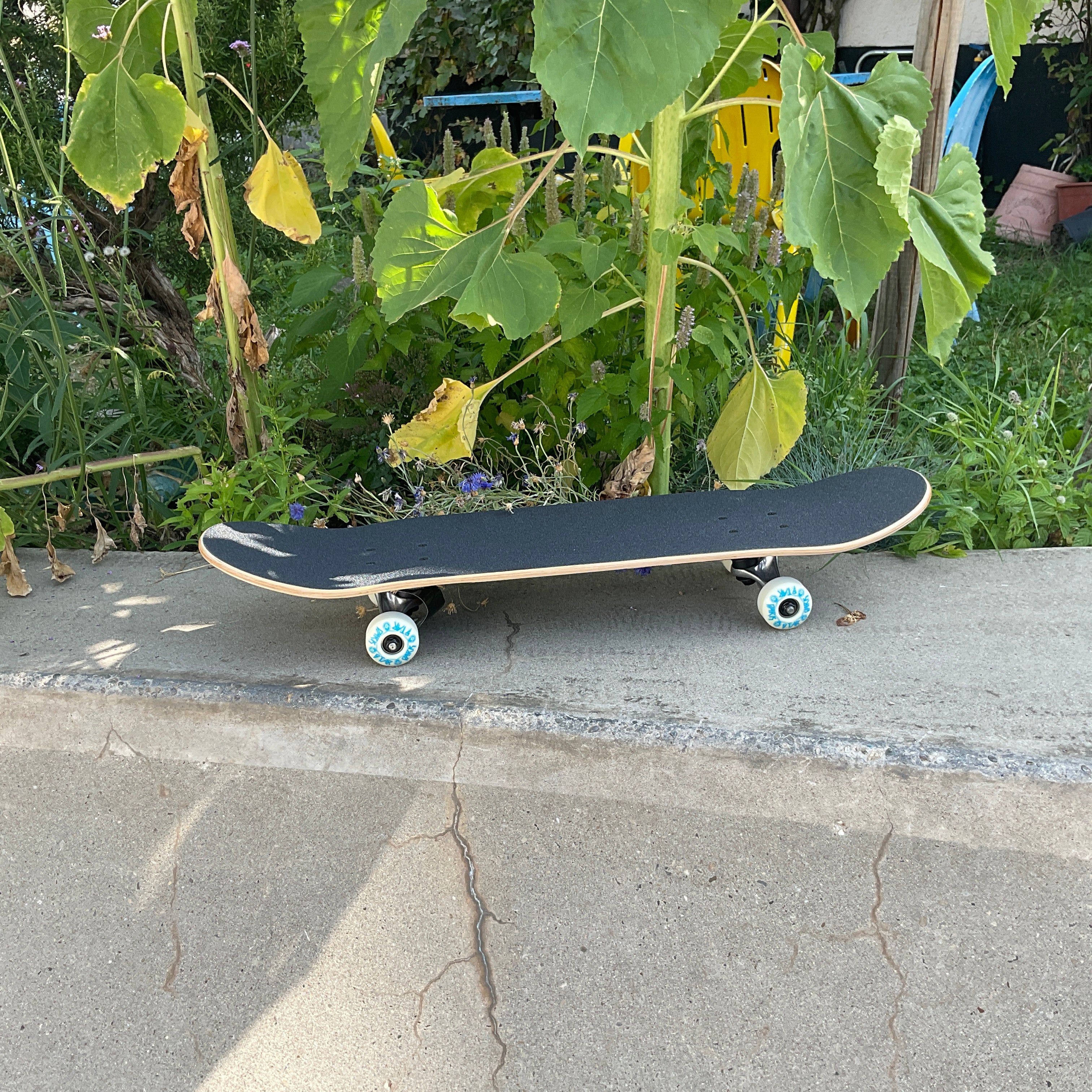 Darkstar Collapse Yellow/Purple 7,25x29,2" Kinderskateboard