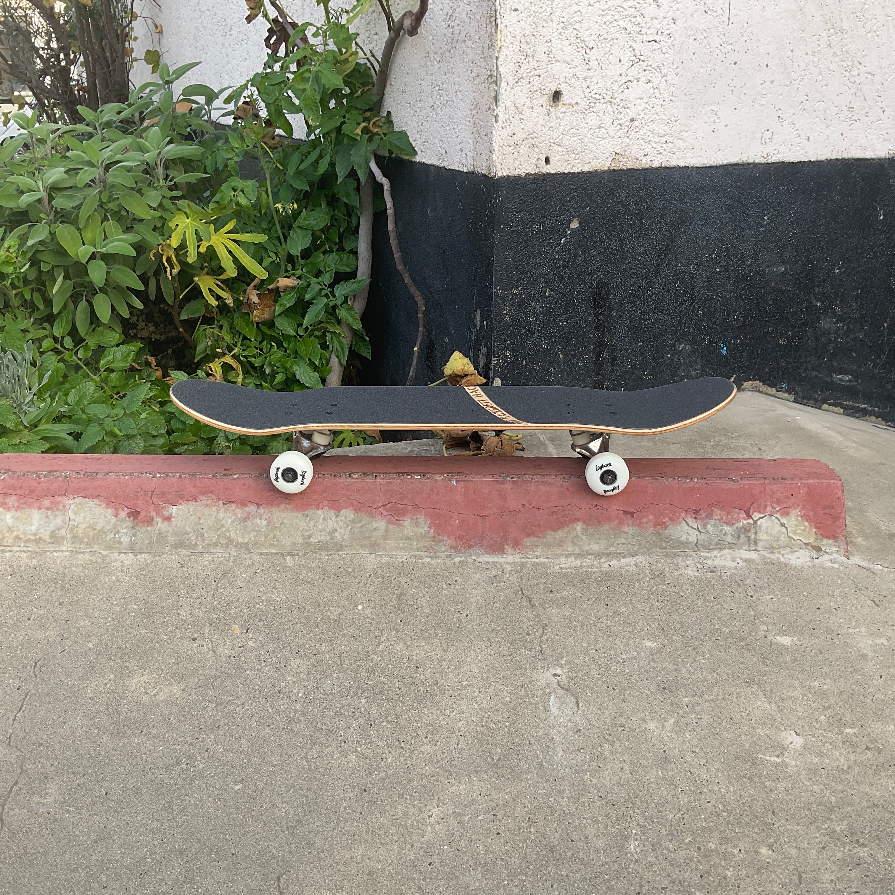 Hackbrett "Almas Keule" Ahorn V2 / Koronamonster Komplettbrett
