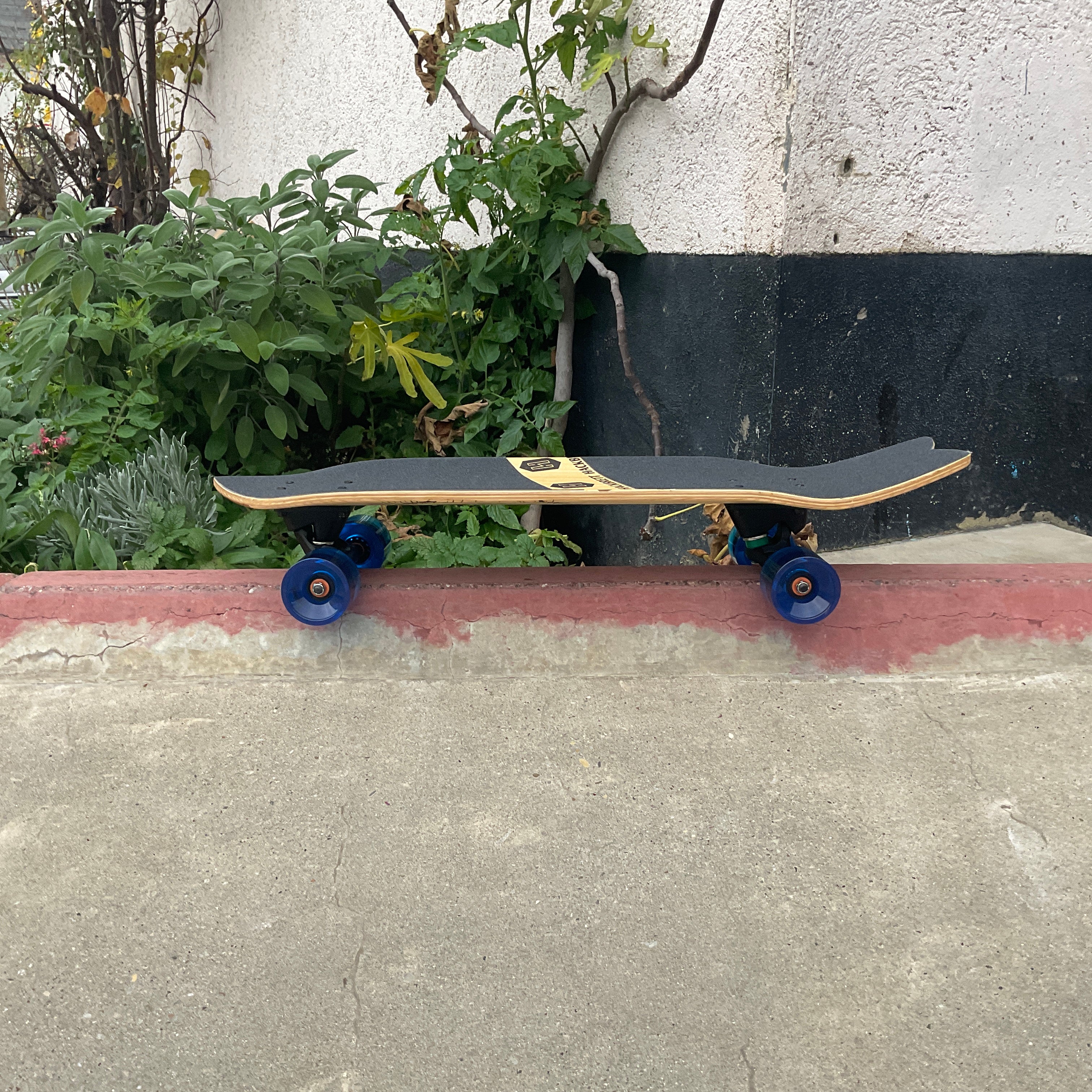Hackbrett Surfskate 30.9" Komplettbrett / Eiche hell Wellenberge