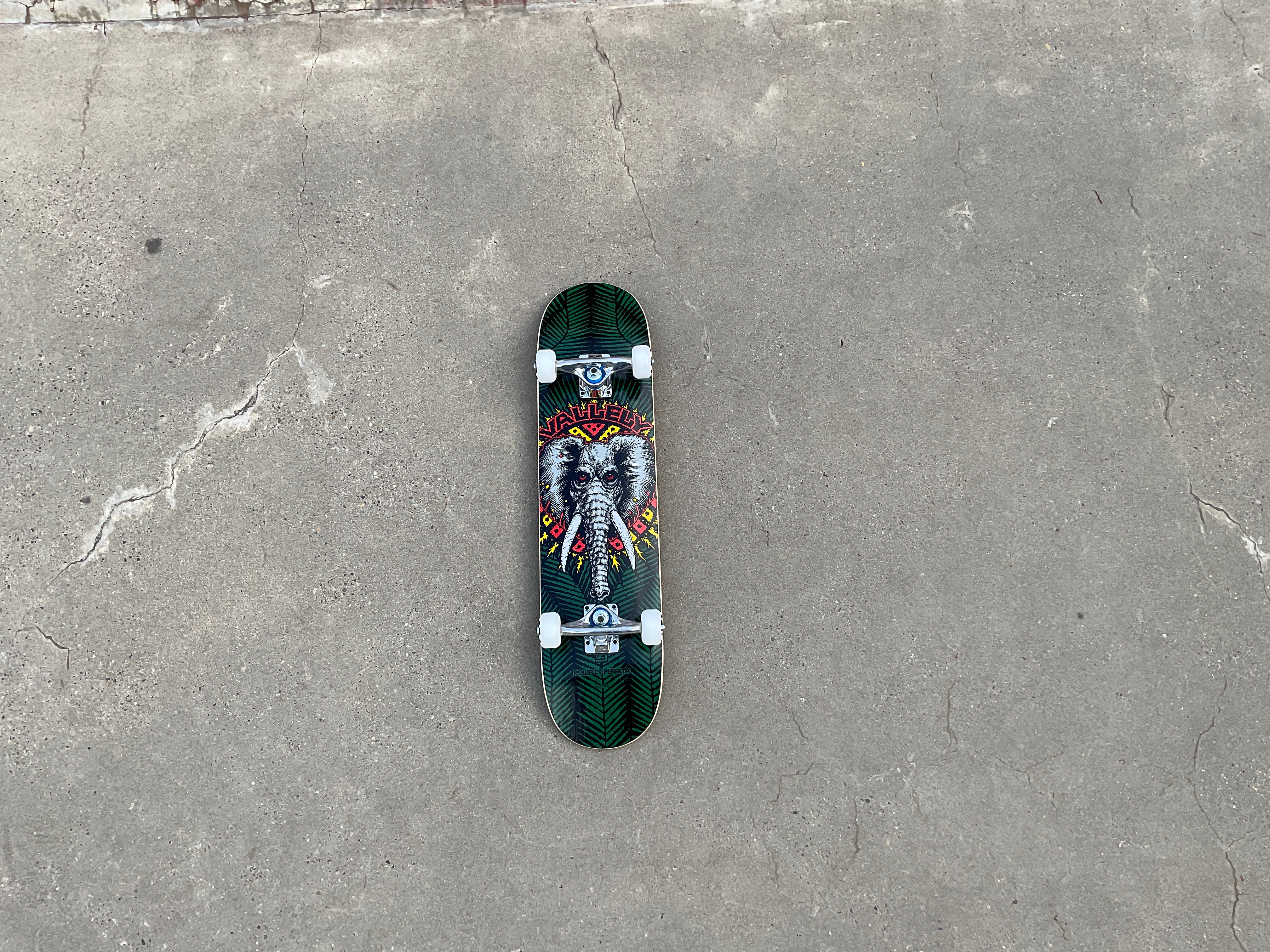Powell-Peralta Valley Elephant 7.5" x 30.7" green Kinderskateboard