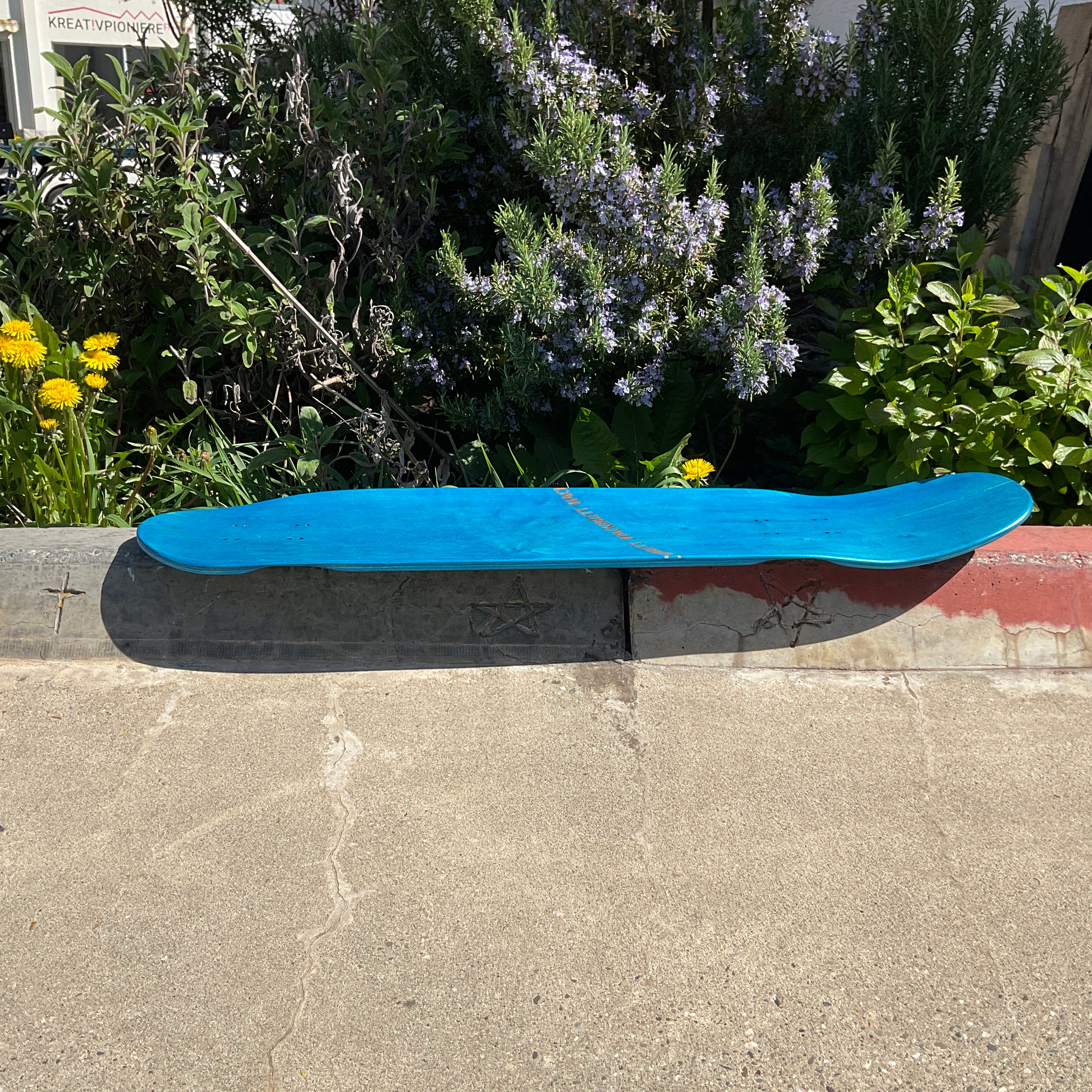 Hackbrett Cruiser Ahorn V2 30.9 V2 Chillen am Strand / blau