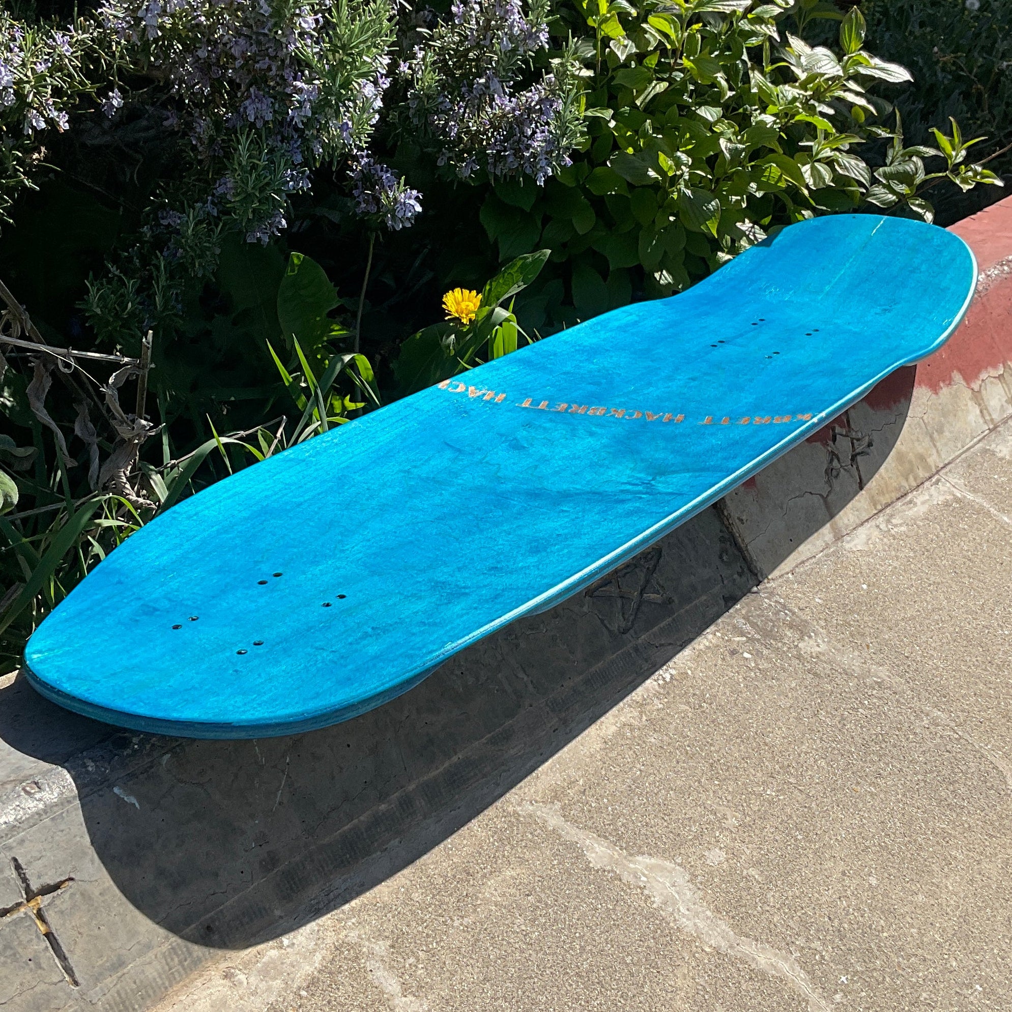 Hackbrett Cruiser Ahorn V2 30.9 V2 Chillen am Strand / blau