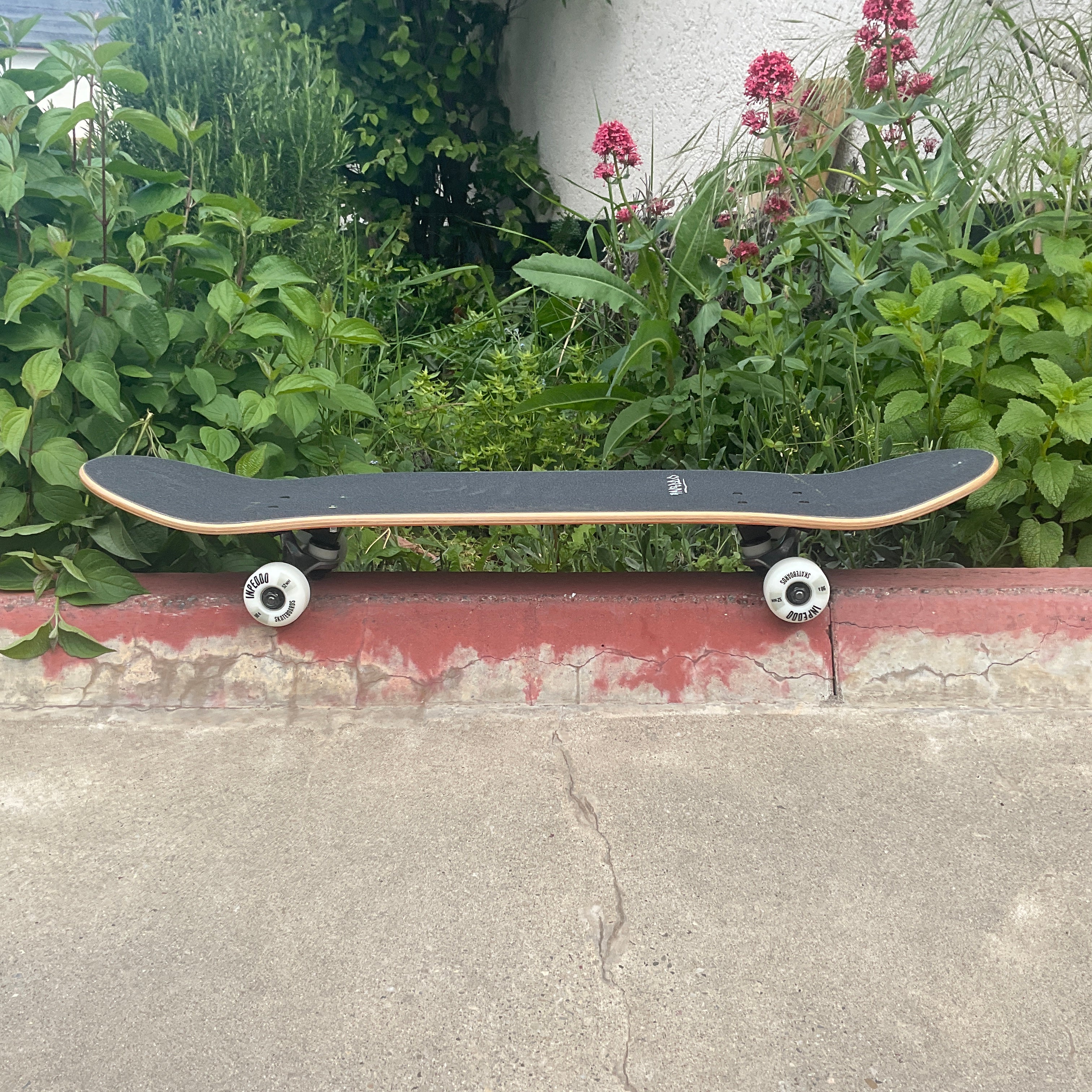 Inpeddo Black Carpet Kinderskateboard 7.875 x 31,6"