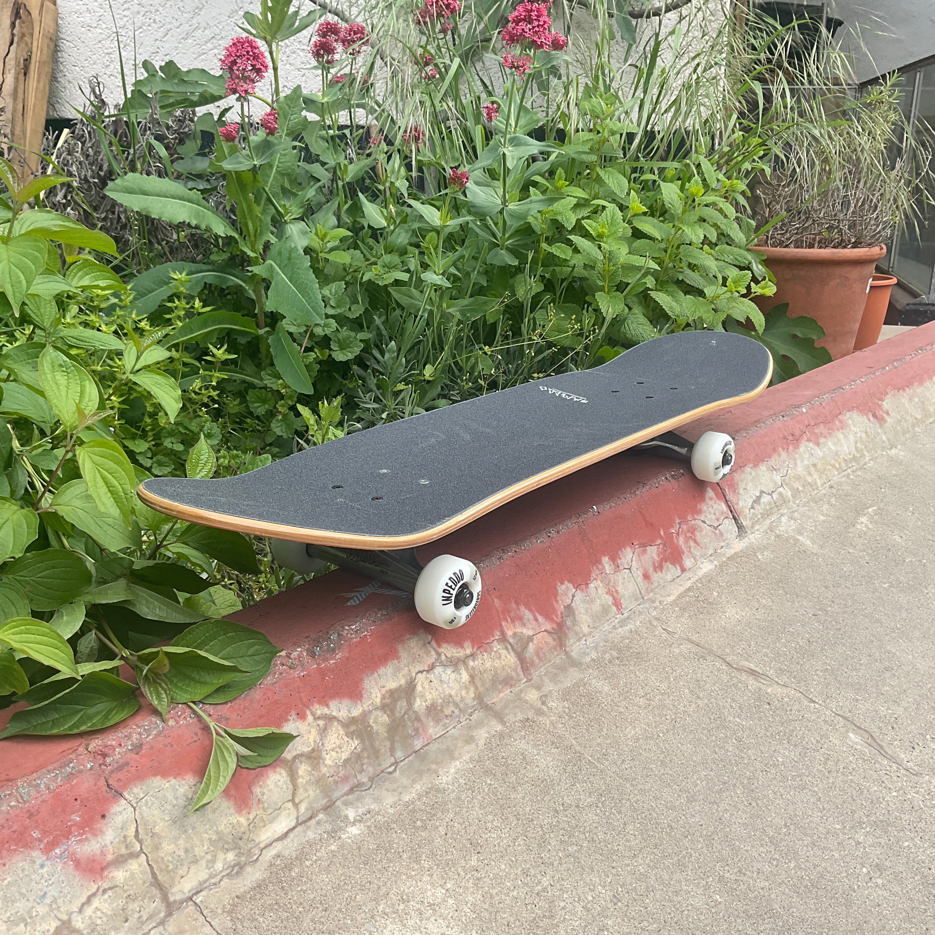 Inpeddo Black Carpet Kinderskateboard 7.875 x 31,6"