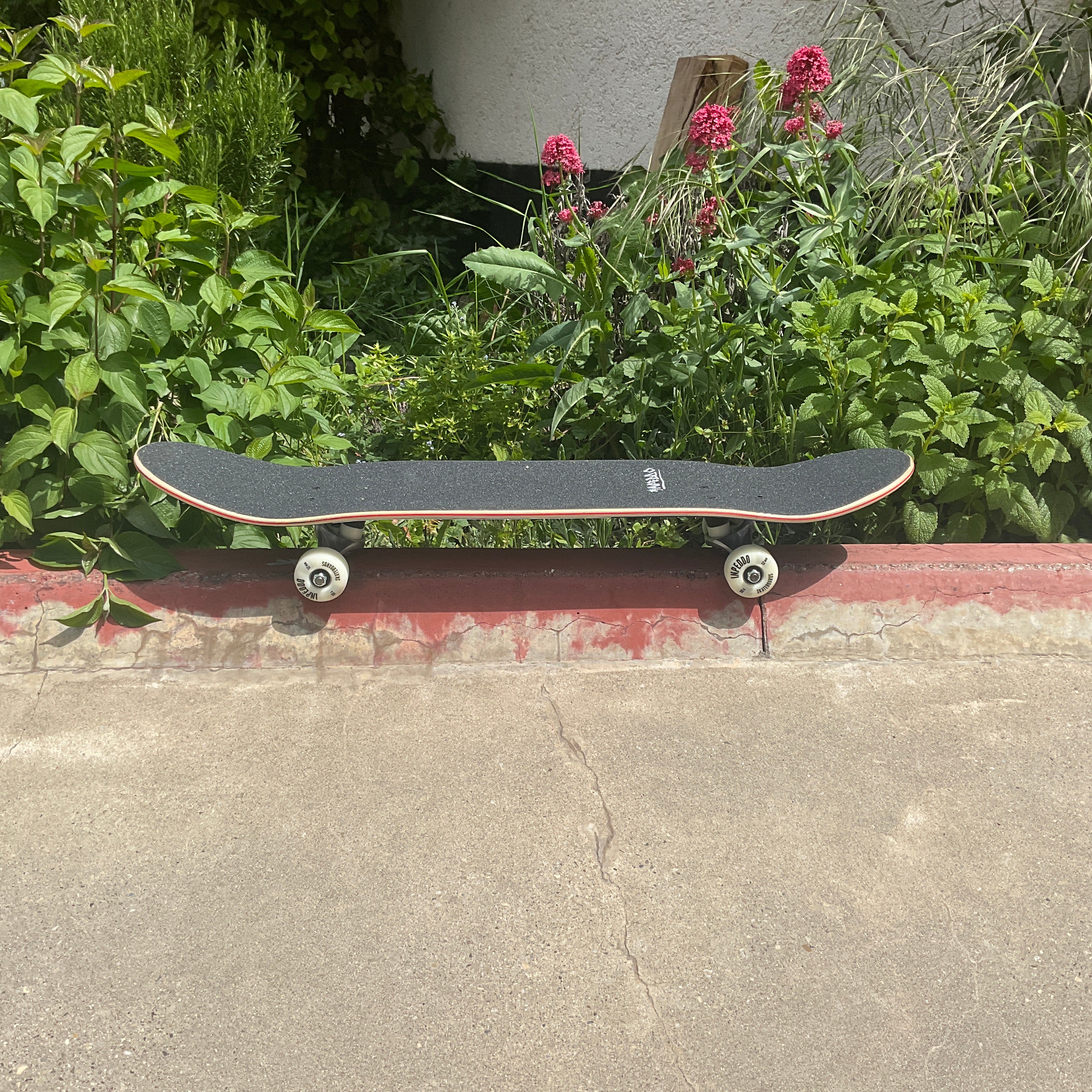 Inpeddo Island Kinderskateboard 7.75 x 31,6"