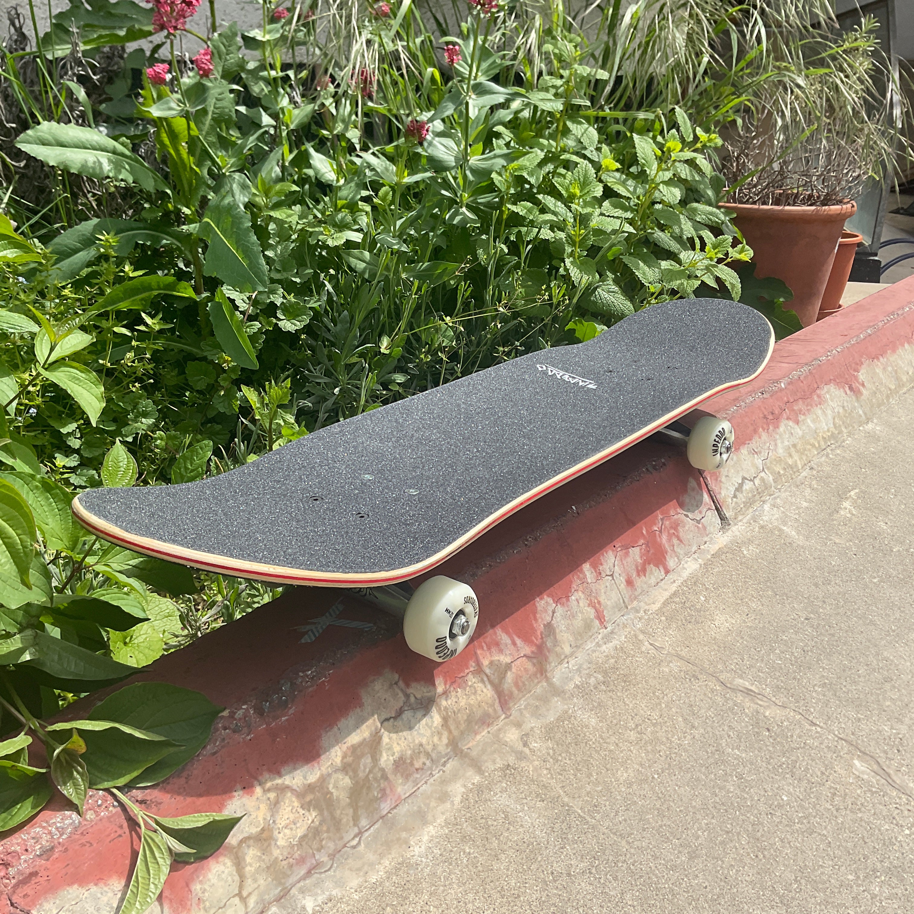 Inpeddo Island Kinderskateboard 7.75 x 31,6"