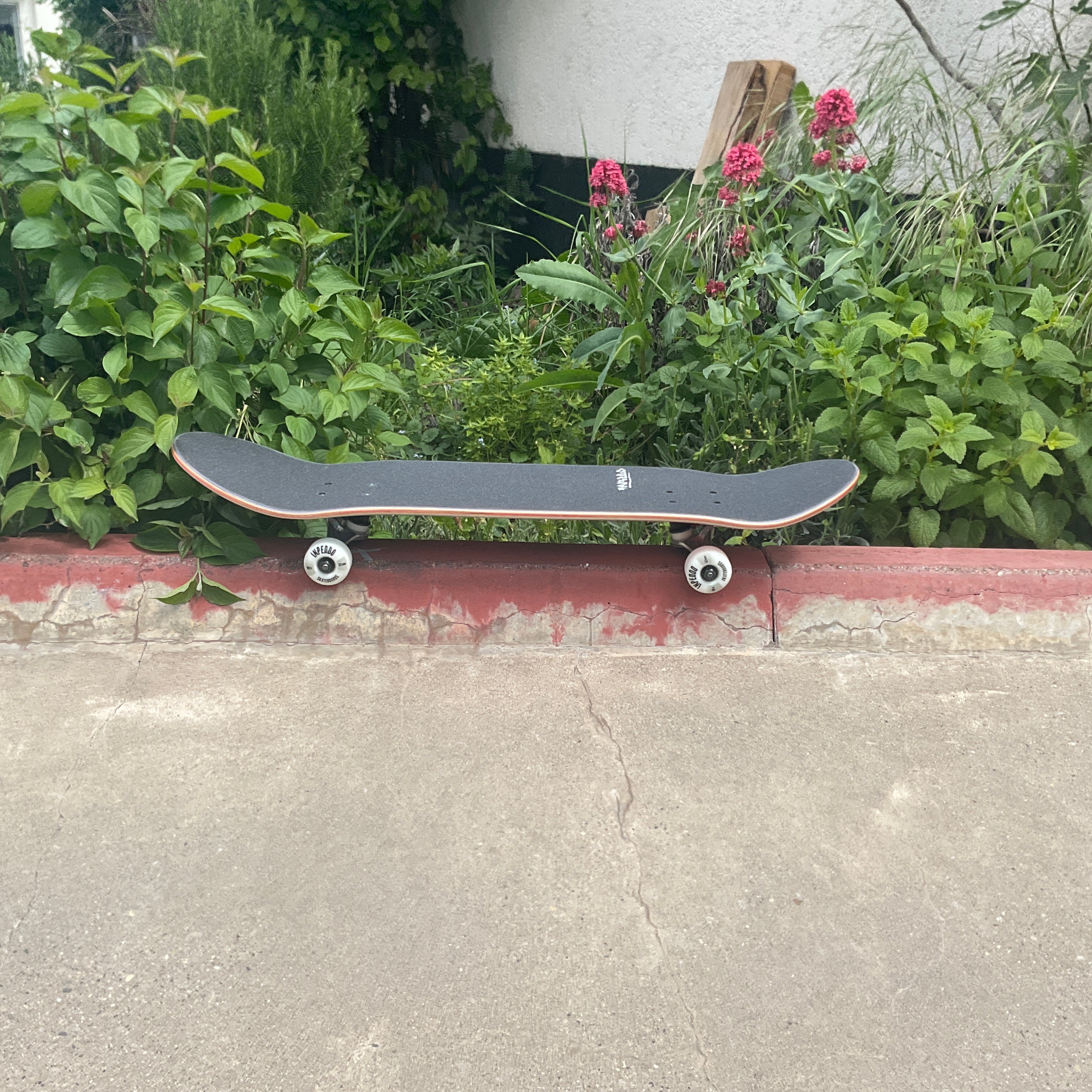 Inpeddo Mountain Kinderskateboard 7.75 x 31,6"