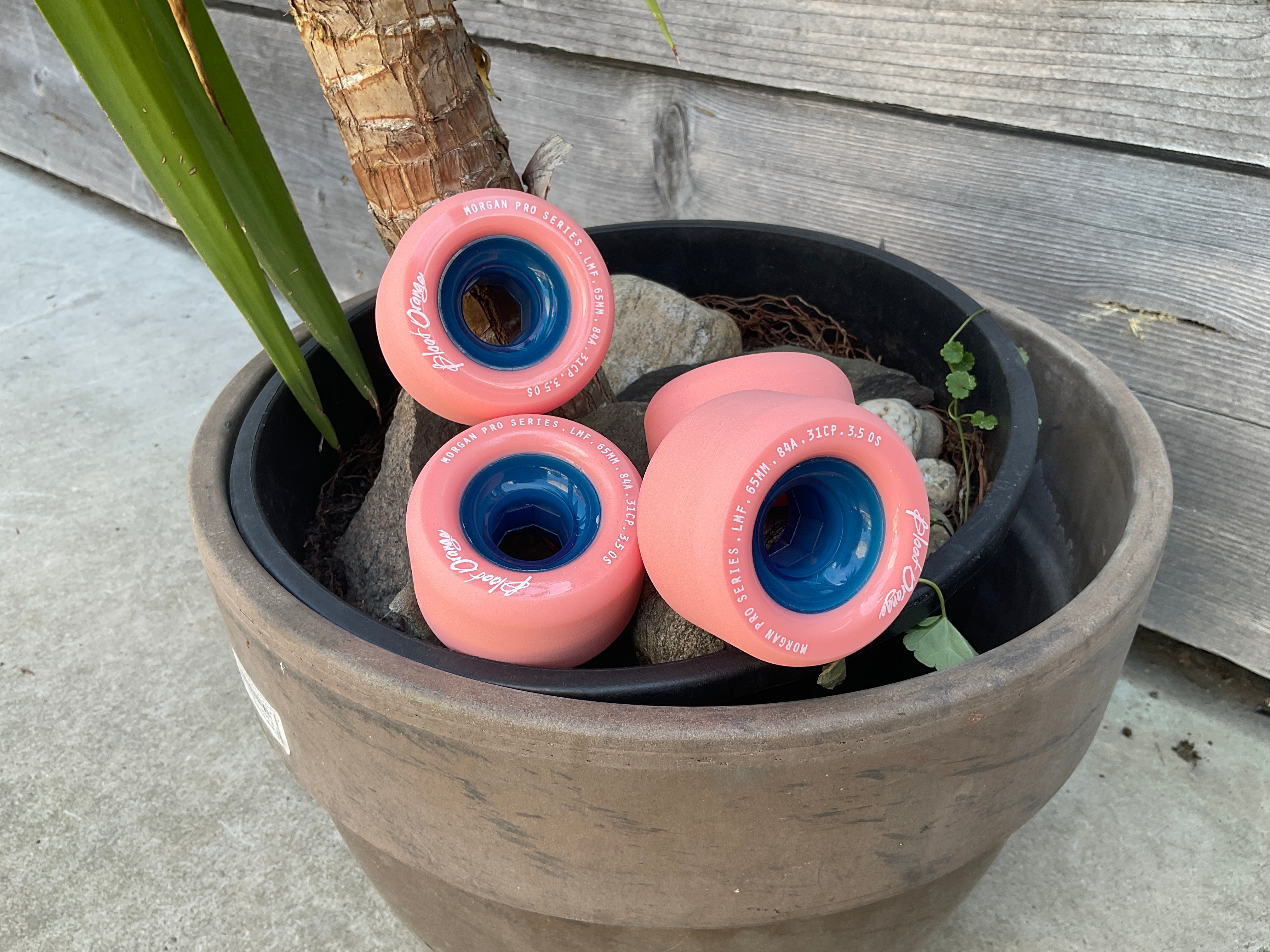 Blood Orange Morgan Pro Coral 65mm 84a