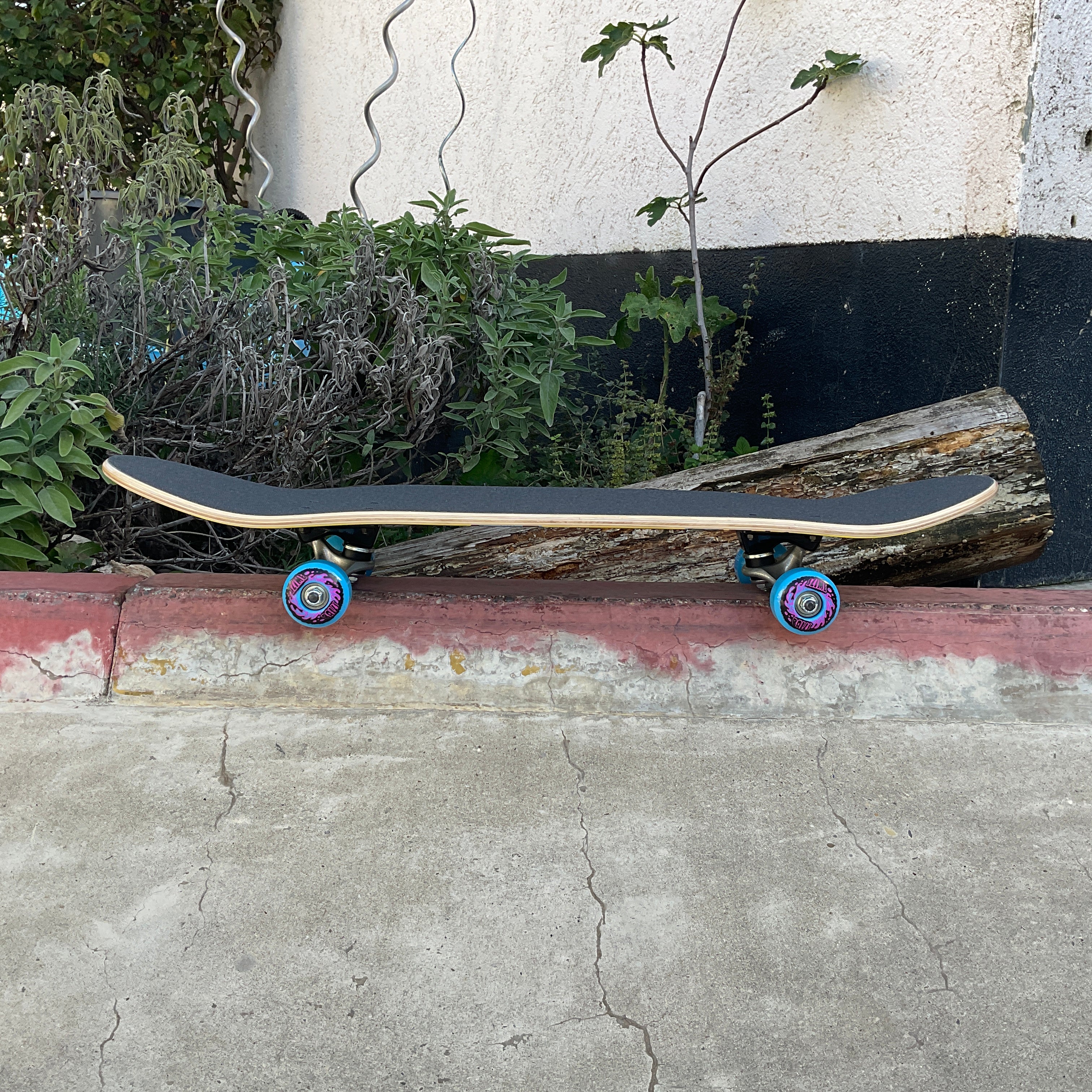 Santa-Cruz Screaming Hand Mini Kinderskateboard 7.75 x 30"